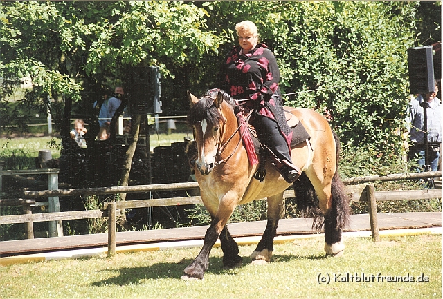 Scannen0105.jpg
