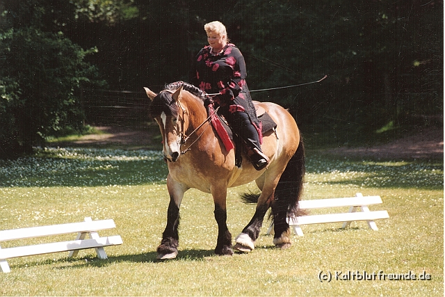 Scannen0106.jpg