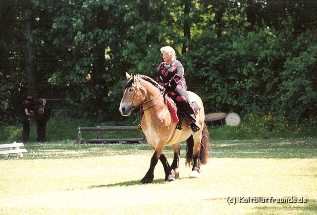 Scannen0110.jpg