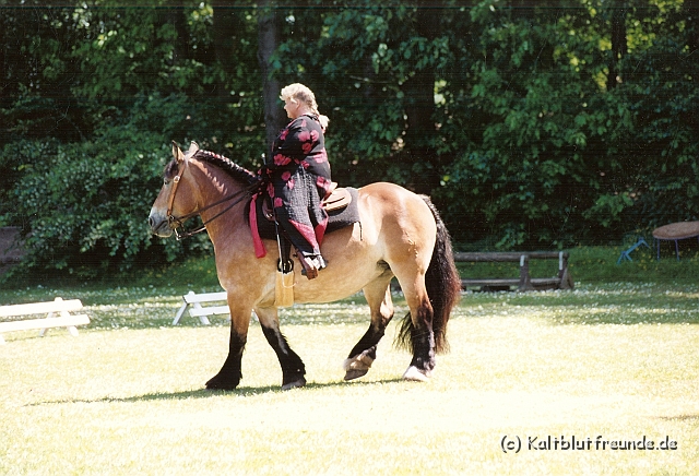 Scannen0112.jpg