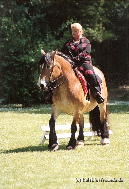 Scannen0113.jpg