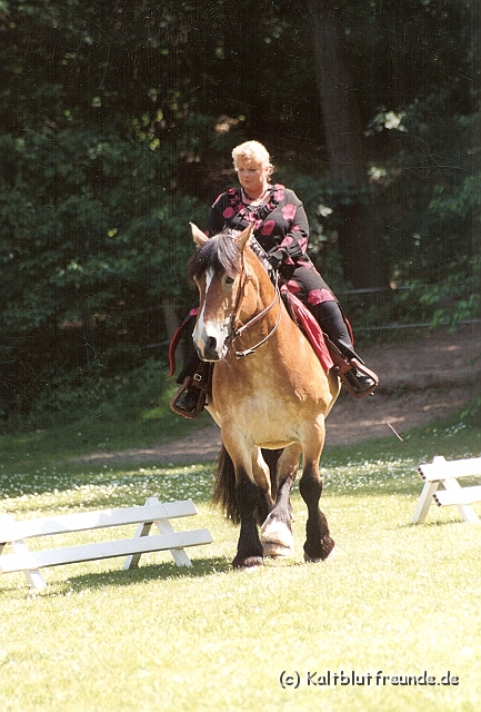 Scannen0116.jpg