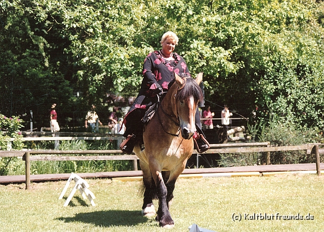 Scannen0118.jpg