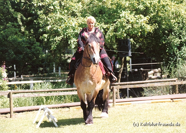 Scannen0120.jpg