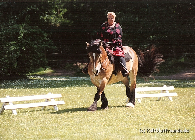 Scannen0123.jpg