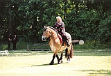 Scannen0110
