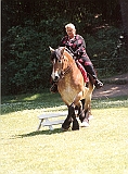Scannen0114