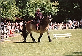 Scannen0117