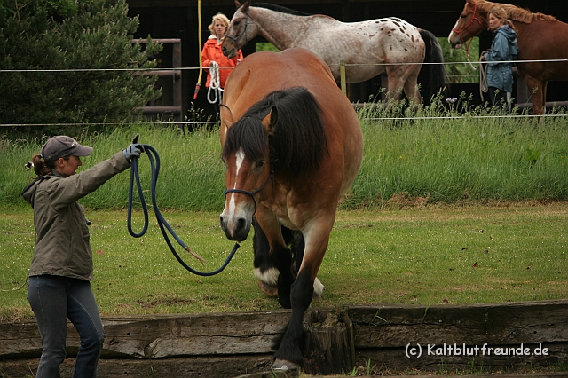 IMG_1956.JPG
