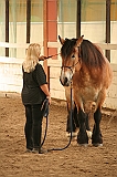 IMG_1670