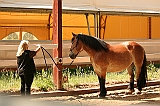 IMG_1744