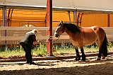 IMG_1745