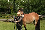IMG_1884