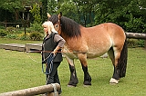 IMG_1885