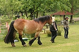 IMG_1886