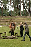 IMG_1891