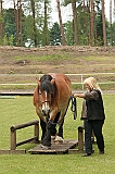 IMG_1892