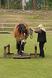 IMG_1893