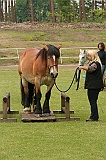 IMG_1894