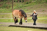 IMG_1895