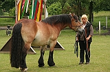 IMG_1904