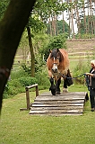 IMG_1906