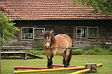 IMG_1916