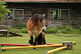 IMG_1917