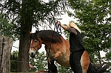 IMG_1921
