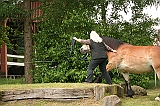IMG_1924