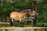 IMG_1925