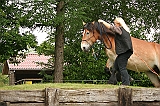 IMG_1929