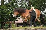 IMG_1930