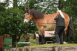 IMG_1931