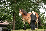 IMG_1933