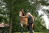 IMG_1934