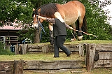 IMG_1935
