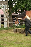 IMG_1937