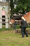 IMG_1938