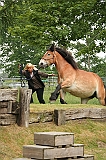 IMG_1939