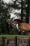 IMG_1940