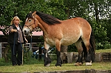IMG_1947