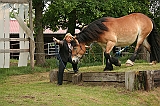 IMG_1948