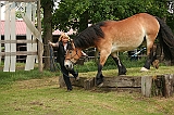 IMG_1949