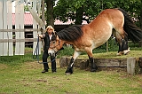 IMG_1950