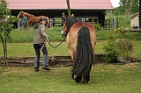 IMG_1951