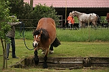 IMG_1953