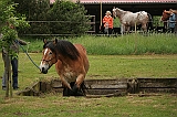 IMG_1954