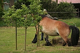 IMG_1955