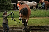 IMG_1956